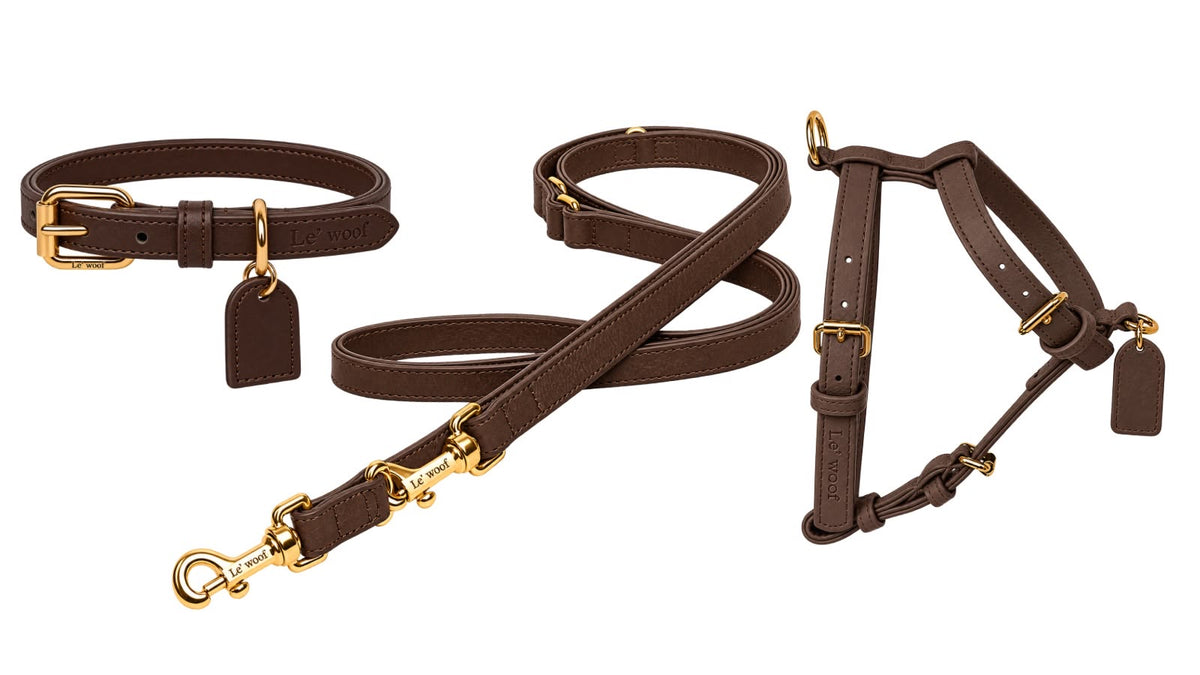 Marron Cacao Harness, Collar & Leash