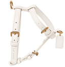 Crème Nomade Harness
