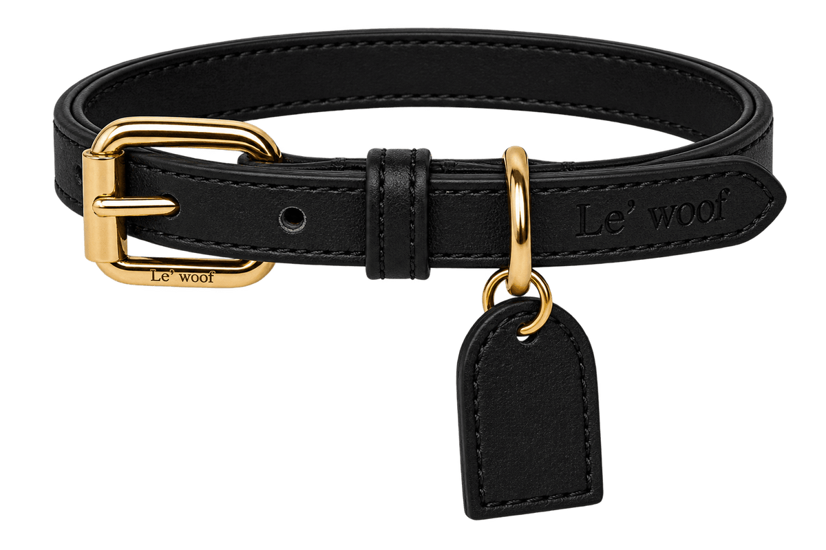 Noir Onyx Collar