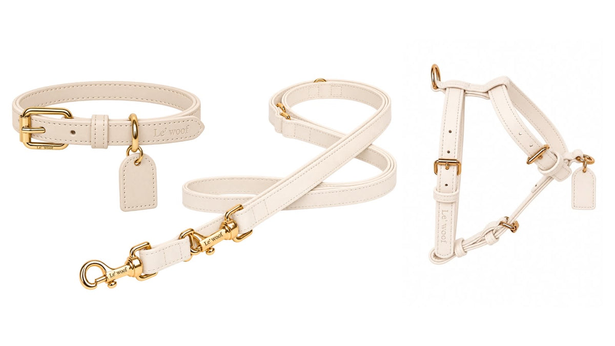 Creme Nomade Harness, Collar & Leash