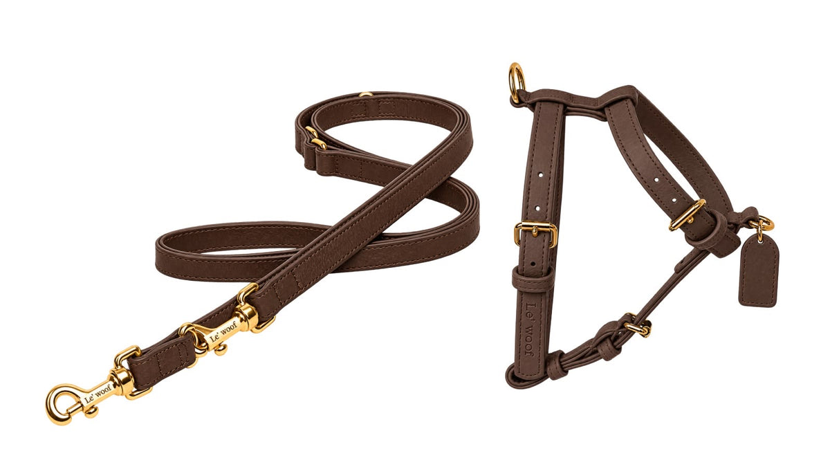 Marron Cacao Collar & Leash