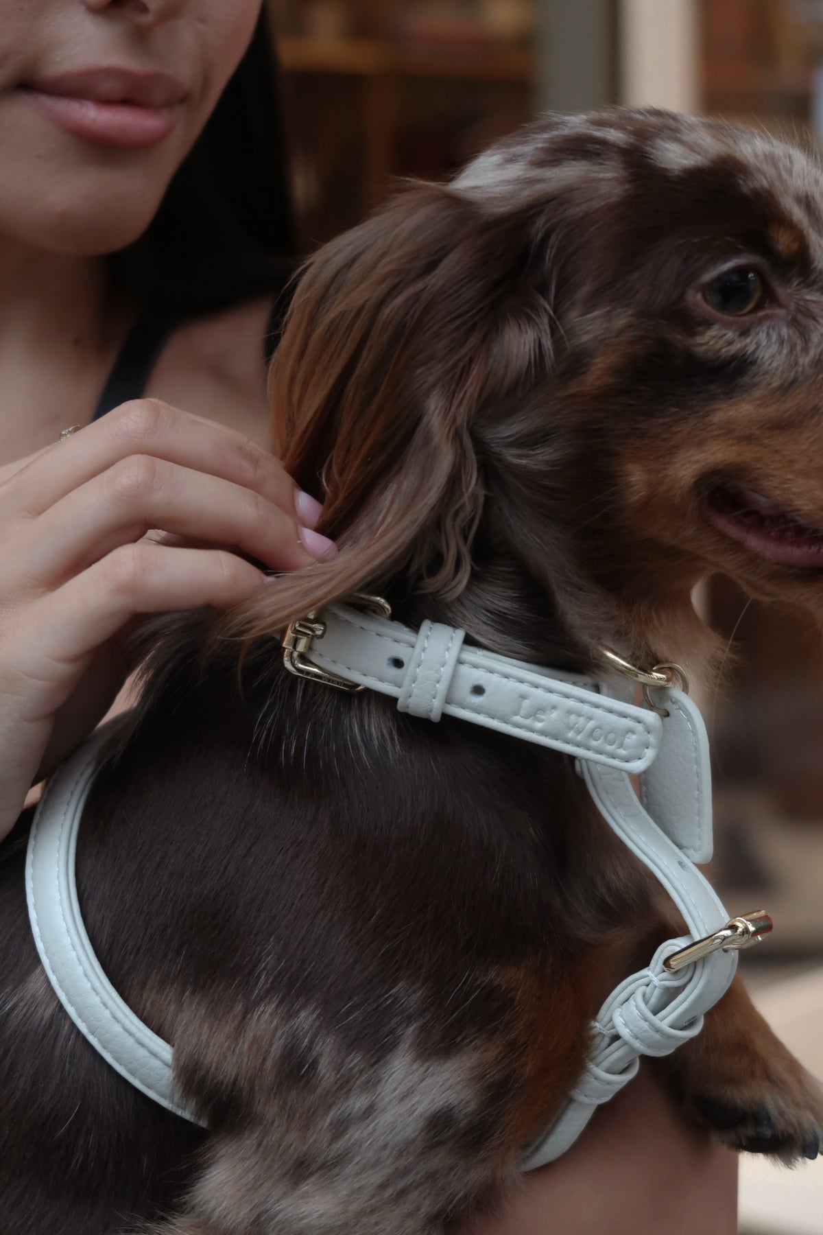 Crème Nomade Harness