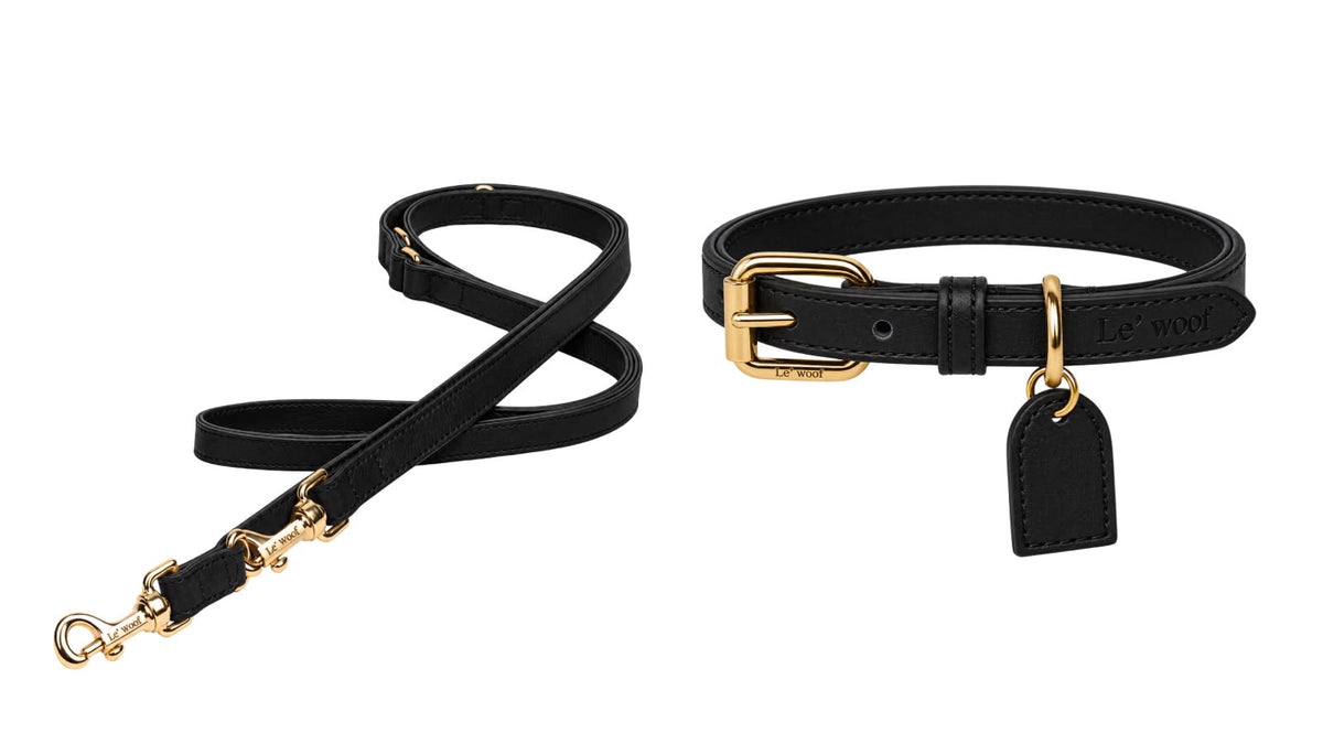 Noir Onyx Collar & Leash