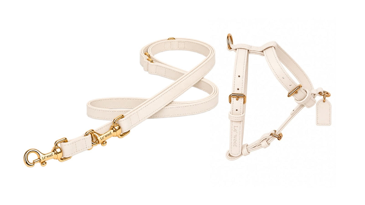 Crème Nomade Harness & Leash