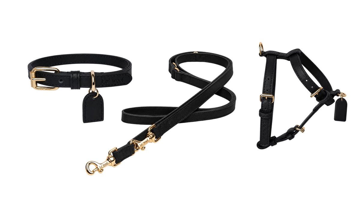 Noir Onyx Harness, Collar & Leash