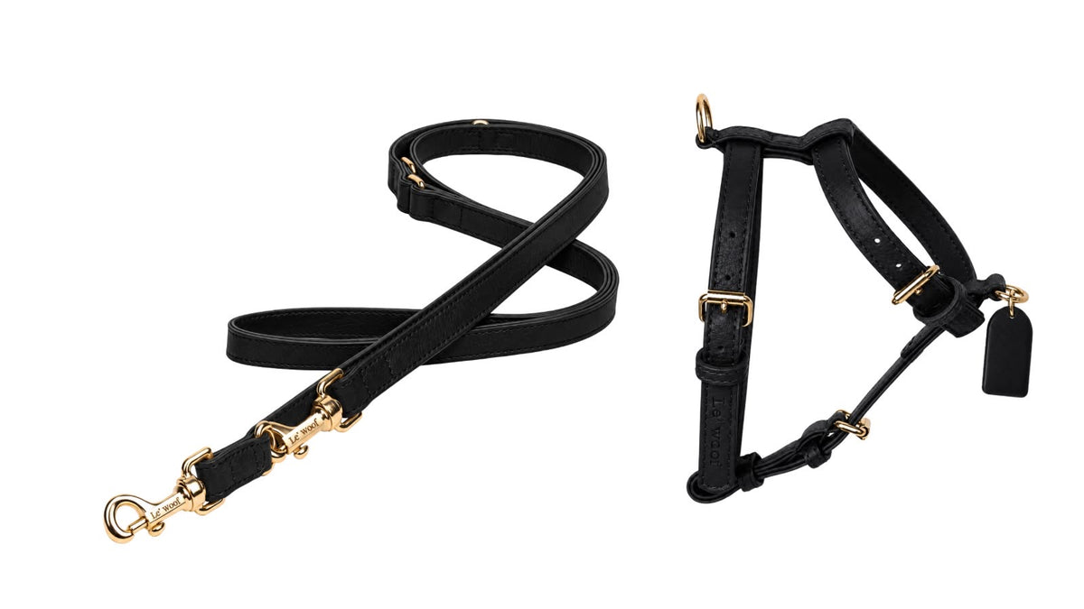 Noir Onyx Harness & Leash